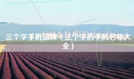三个字手机品牌（三个字的手机名称大全）