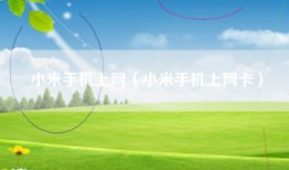 小米手机上网（小米手机上网卡）