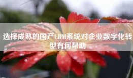 选择成熟的国产CRM系统对企业数字化转型有何帮助