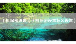 手机保密设置（手机保密设置怎么设置）