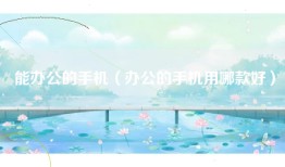 能办公的手机（办公的手机用哪款好）