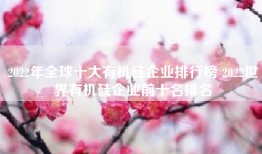 2022年全球十大有机硅企业排行榜 2022世界有机硅企业前十名排名