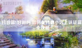 抖音蓝V好做吗 如何在抖音小店上认证蓝v 全攻略