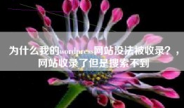 为什么我的wordpress网站没法被收录？，网站收录了但是搜索不到