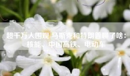 超千万人围观 马斯克和特朗普聊了啥：核能、中国高铁、电动车