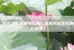 排名优化原理与工具（提高网站排名的必修课）