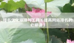 排名优化原理与工具（提高网站排名的必修课）