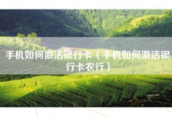 手机如何激活银行卡（手机如何激活银行卡农行）