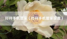 打开手机管家（打开手机管家设置）