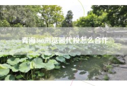青海360浏览器代投怎么合作