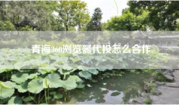 青海360浏览器代投怎么合作