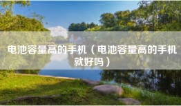 电池容量高的手机（电池容量高的手机就好吗）