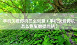 手机欠费停机怎么恢复（手机欠费停机怎么恢复数据网络）