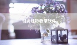 引蜘蛛秒收录软件
