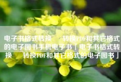 电子书格式转换 – 转换PDF和其它格式的电子图书手机电子书「电子书格式转换 – 转换PDF和其它格式的电子图书」