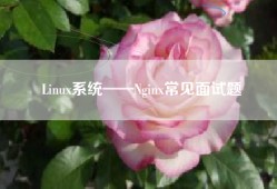 Linux系统——Nginx常见面试题