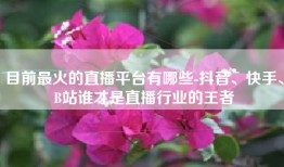 目前最火的直播平台有哪些-抖音、快手、B站谁才是直播行业的王者