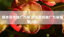 媒体宣传推广方案 景区宣传推广方案精选(3篇)