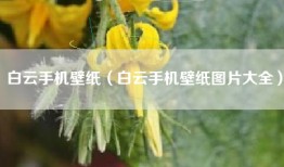 白云手机壁纸（白云手机壁纸图片大全）