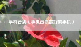 手机音质（手机音质最好的手机）