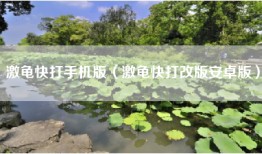 激龟快打手机版（激龟快打改版安卓版）