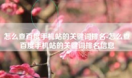 怎么查百度手机站的关键词排名-怎么查百度手机站的关键词排名信息