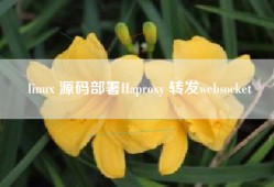 linux 源码部署Haproxy 转发websocket