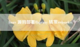 linux 源码部署Haproxy 转发websocket