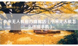 小米无人机官方旗舰店（小米无人机怎么连接手机）