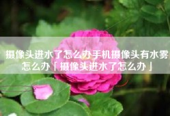 摄像头进水了怎么办手机摄像头有水雾怎么办「摄像头进水了怎么办」