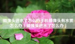 摄像头进水了怎么办手机摄像头有水雾怎么办「摄像头进水了怎么办」