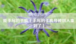 能手写的手机（手写的手机号被别人拿到了）