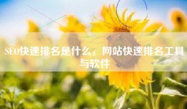 SEO快速排名是什么，网站快速排名工具与软件