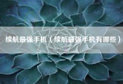 续航最强手机（续航最强手机有哪些）