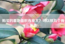 购买的墓地面积有多大？可以放几个骨灰盒