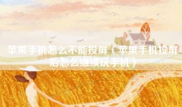 苹果手机怎么不能投屏（苹果手机投屏后怎么继续玩手机）