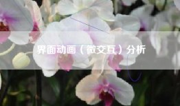 界面动画（微交互）分析