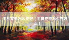 手机充电怎么充好（手机充电怎么充好一点）