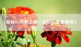站长seo分析工具（站长seo批量查询）