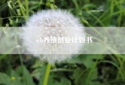 syb养殖创业计划书