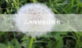 syb养殖创业计划书