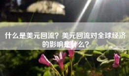 什么是美元回流？美元回流对全球经济的影响是什么？