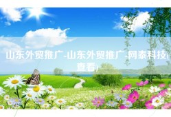 山东外贸推广-山东外贸推广-网泰科技(查看)