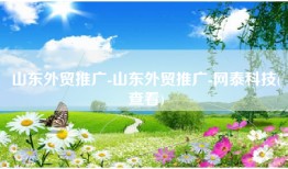 山东外贸推广-山东外贸推广-网泰科技(查看)