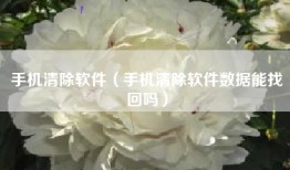 手机清除软件（手机清除软件数据能找回吗）