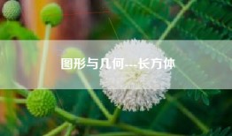 图形与几何---长方体