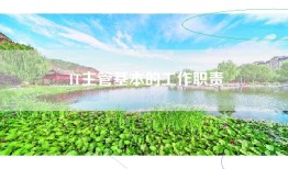 IT主管基本的工作职责
