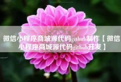 微信小程序商城源代码github制作【微信小程序商城源代码github开发】