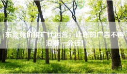 东莞竞价推广代运营，让您的广告不再浪费一分钱！
