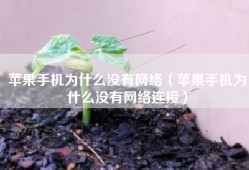苹果手机为什么没有网络（苹果手机为什么没有网络连接）